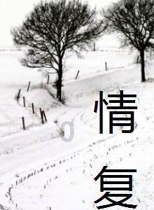 时间的颜色与不朽的诗意丨《莫奈:色彩与光影之诗》