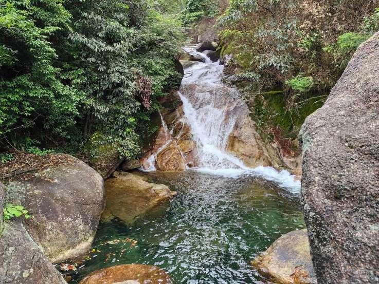 应对寒潮天气 梁山统筹协调保障群众菜篮子米袋子